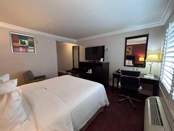 Best Western Burbank Airport Inn image 10